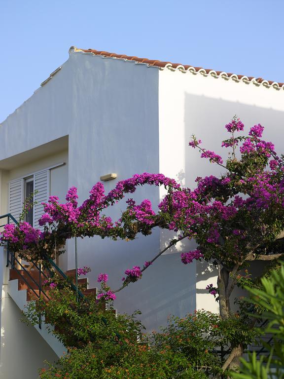 Mousses Apartments & Studios Kissamos Phòng bức ảnh